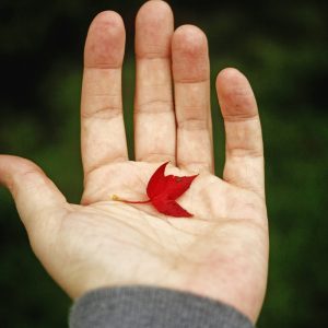 Ergonomic Hand Health Program