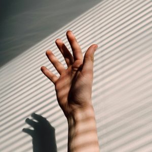 Palm Reflexology Interactive Course